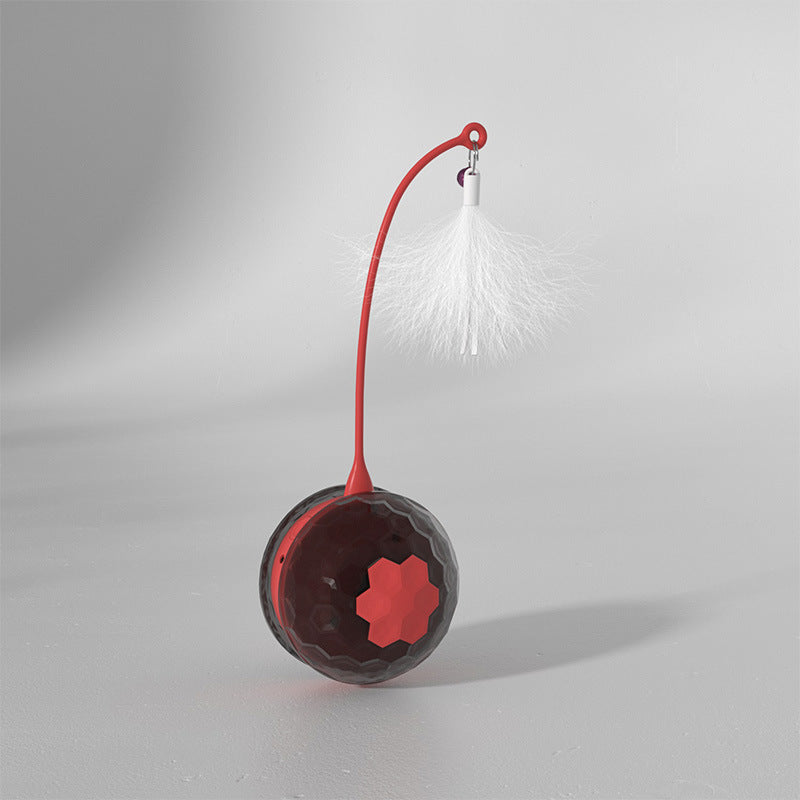 Intelligent Bite Resistant Cat Toys - Fun & Durable