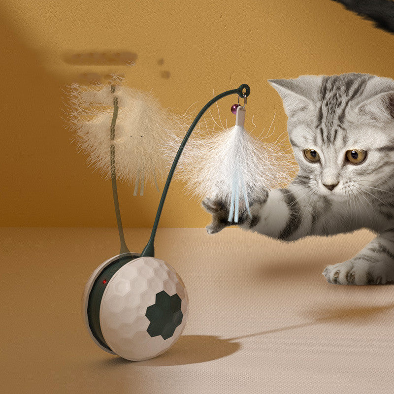 Intelligent Bite Resistant Cat Toys - Fun & Durable