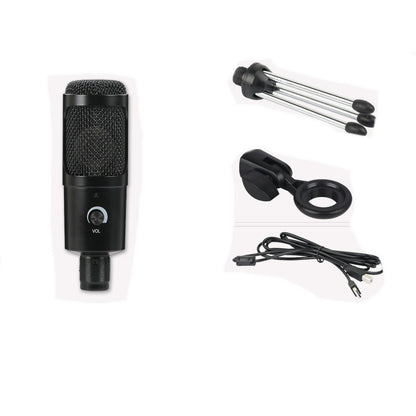 Enhanced Computer Game Voice Microphone for Live Recording